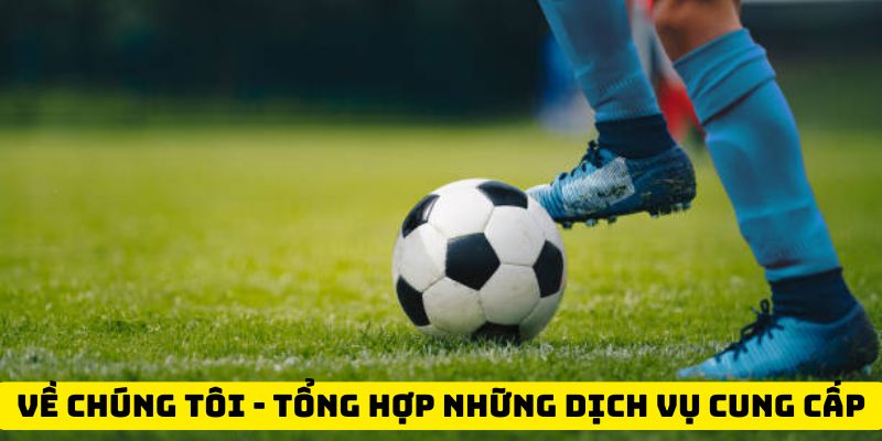 Về chúng tôi - Tổng hợp những dịch vụ cung cấp 